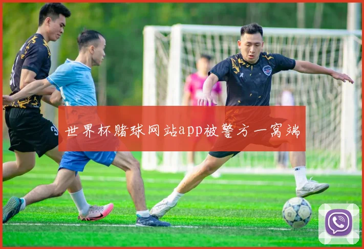 世界杯赌球网站app被警方一窝端