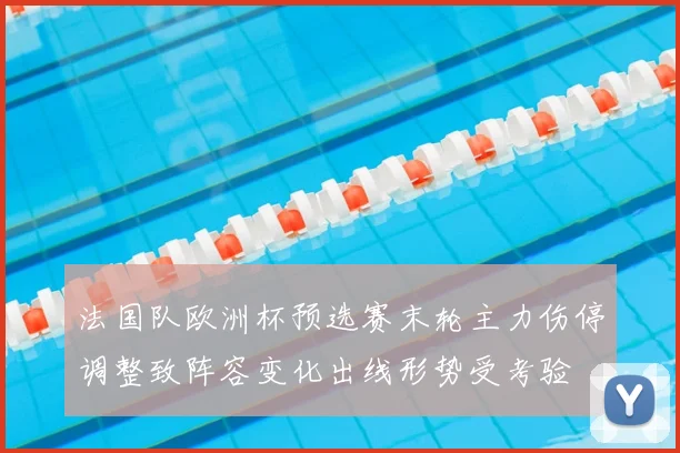 法国队欧洲杯预选赛末轮主力伤停调整致阵容变化出线形势受考验