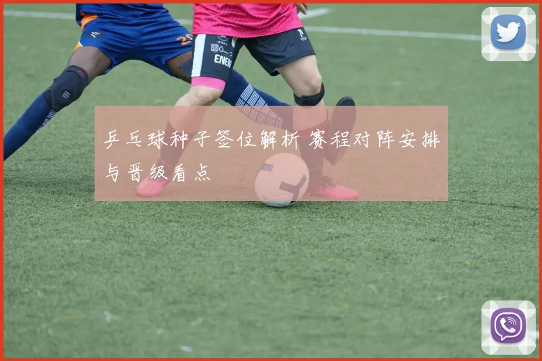 乒乓球种子签位解析 赛程对阵安排与晋级看点