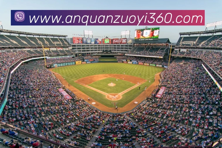 App Interface Preview